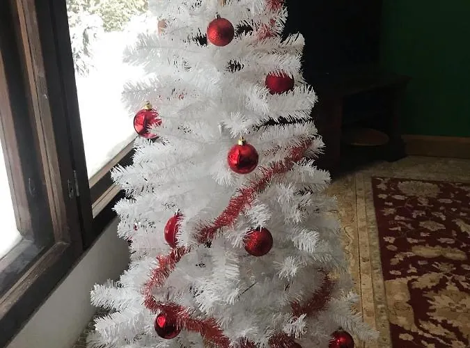 דירה Campari אימטרה